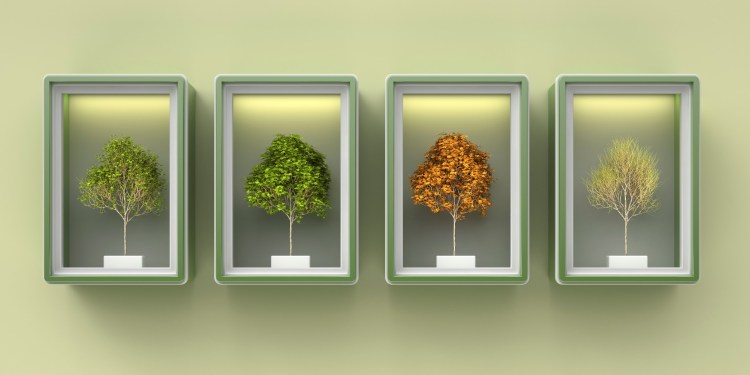 Trees in shadow box depicting the four seasons representing the 4 I's of transformational leadership.